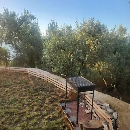 Tatil Evi No 68 House