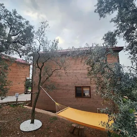 No 68 House * Narlica